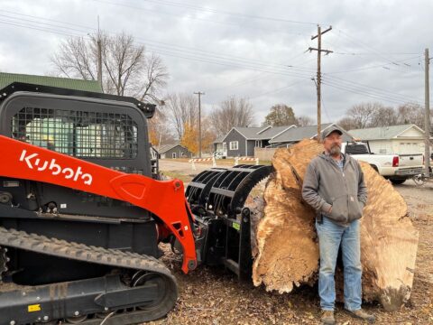 Tree Service Sioux Falls SD | pretty landscape