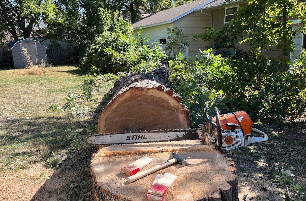 Tree Services New London MN