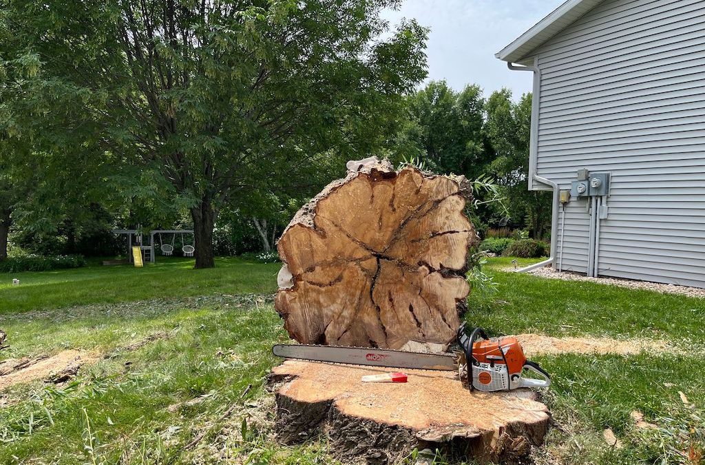 Tree Services Spicer MN