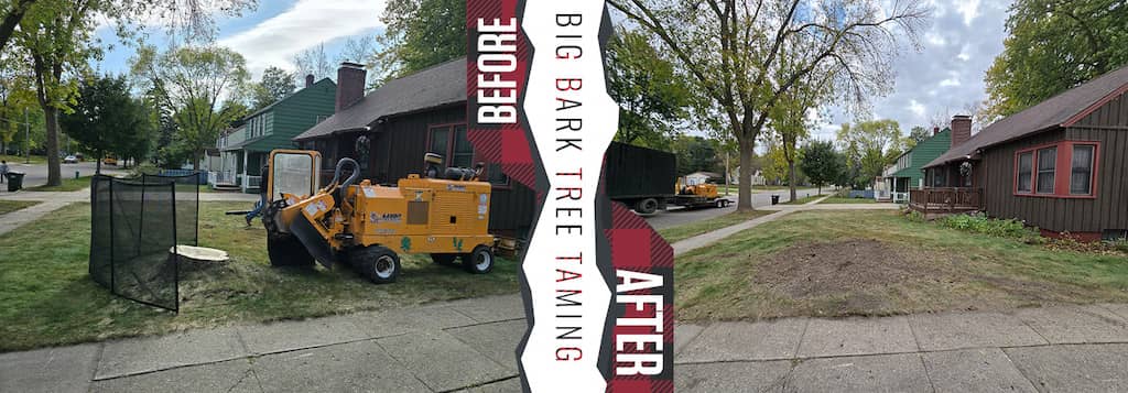 Tree Services Willmar MN Before After 24
