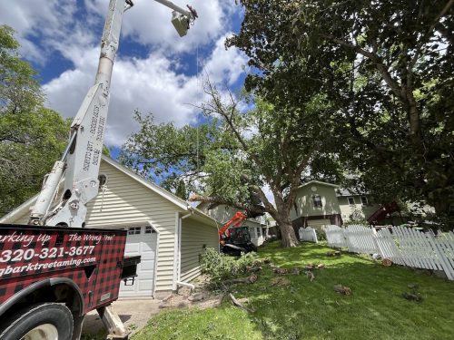Sioux Falls Tree Services 1