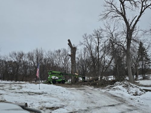 Sioux Falls Tree Services 12