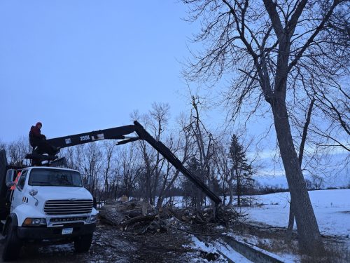 Sioux Falls Tree Services 13