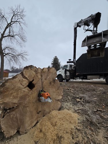 Sioux Falls Tree Services 14