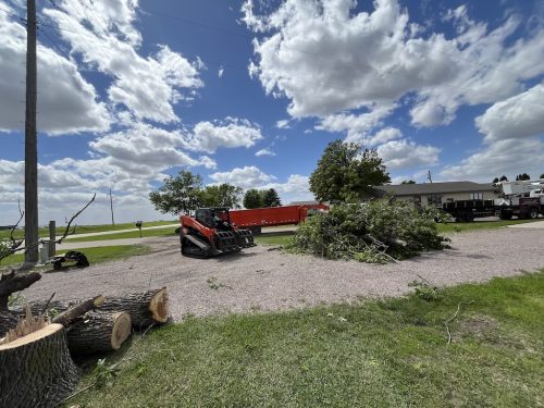 Sioux Falls Tree Services 5