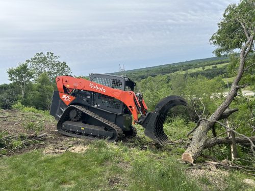 Sioux Falls Tree Services 6