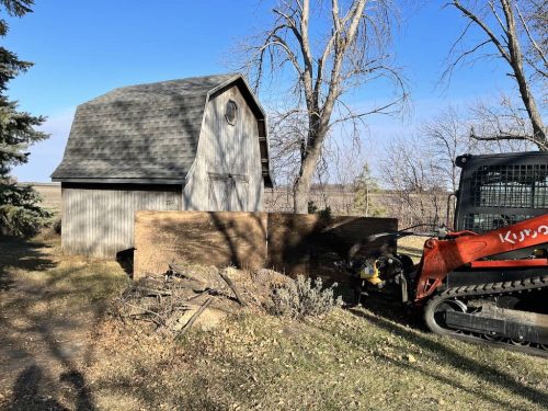 Tree Services Willman MN Photo Dec 02 2023, 11 41 55 AM