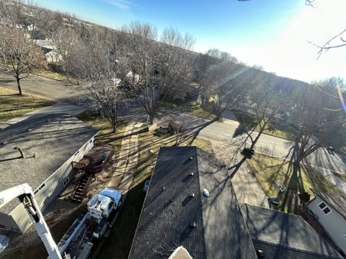 Tree Services Willman MN Photo Nov 21 2023, 2 32 32 PM