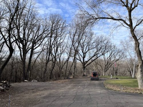 Tree Services Willman MN Photo Nov 28 2023, 10 52 55 AM