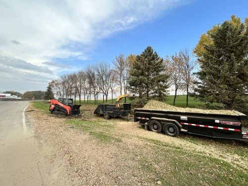 Tree Services Willman MN Photo Oct 24 2023, 10 05 22 AM