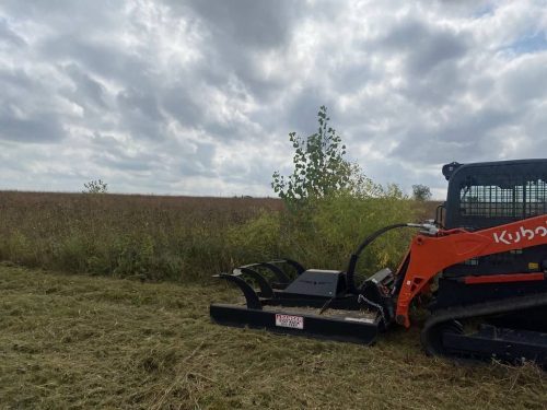 Tree Services Willman MN Photo Sep 16 2022, 2 15 15 PM