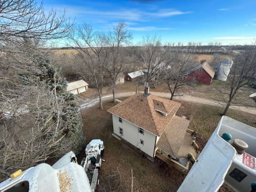 Tree Services Willmar MN IMG 4851