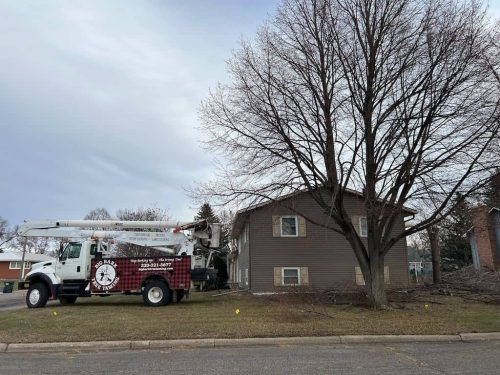 Tree Services Willmar MN IMG 4854