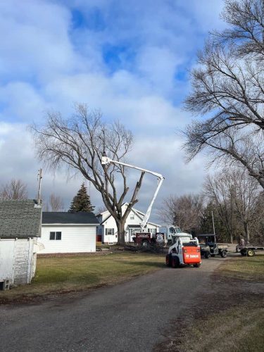Tree Services Willmar MN IMG 8174