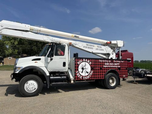 Tree Services Willmar MN IMG 8512