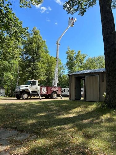 Tree Services Willmar MN IMG 8758