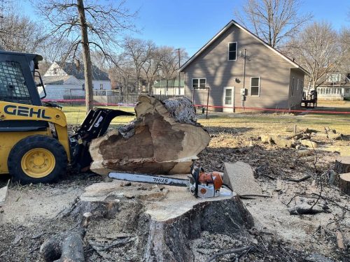 Tree Services Willmar MN Photo Dec 07 2023, 1 57 35 PM