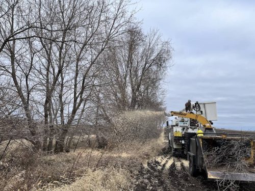 Tree Services Willmar MN Photo Dec 08 2023, 11 37 10 AM