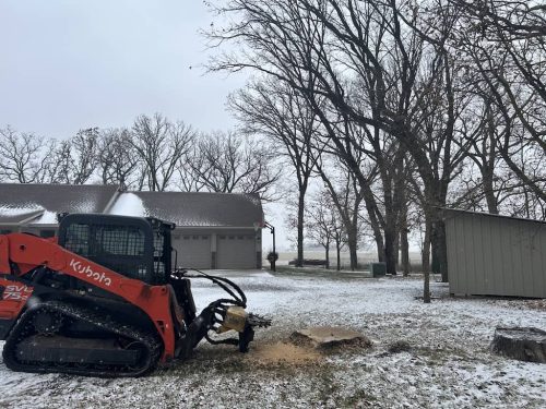 Tree Services Willmar MN Photo Dec 09 2023, 12 08 01 PM