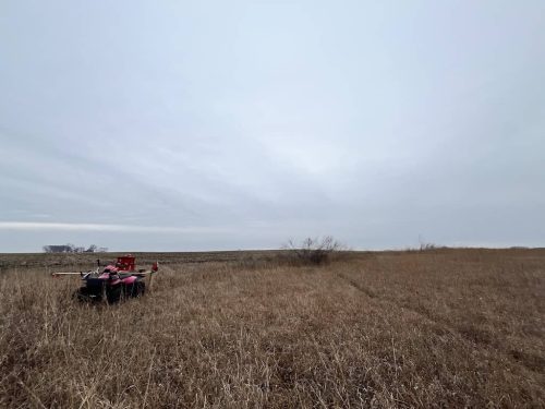 Tree Services Willmar MN Photo Dec 15 2023, 9 45 21 AM