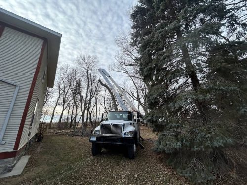Tree Services Willmar MN Photo Dec 19 2023, 10 02 54 AM