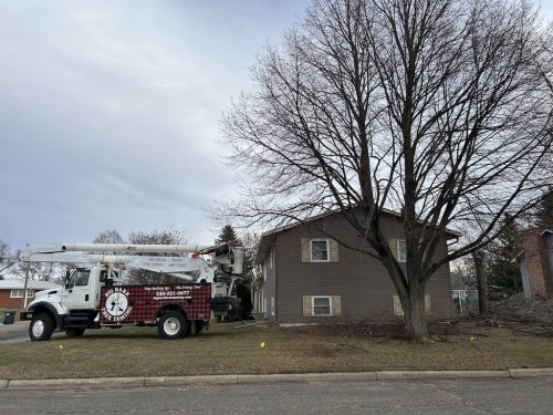 Tree Services Willmar MN Photo Dec 19 2023, 2 32 18 PM (1)