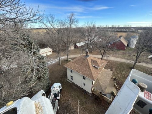 Tree Services Willmar MN Photo Dec 19 2023, 9 54 49 AM