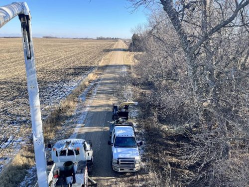 Tree Services Willmar MN Photo Nov 30 2023, 12 05 51 PM