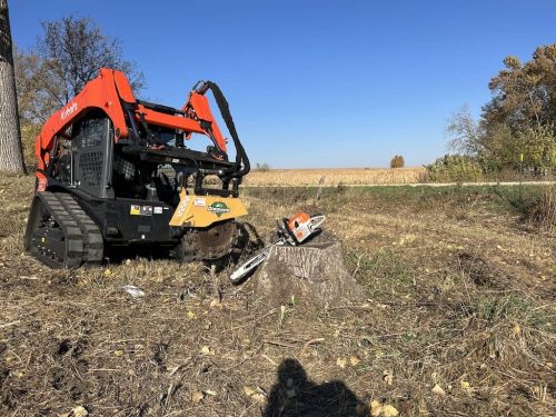 Tree Services Willmar MN Photo Oct 11 2022, 10 27 17 AM