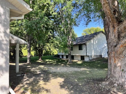 Tree Services Willmar MN Photo Sep 19 2023, 3 08 14 PM