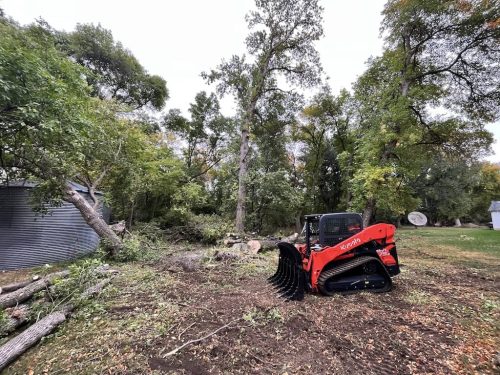 Tree Services Willmar MN Photo Sep 28 2023, 10 18 15 AM