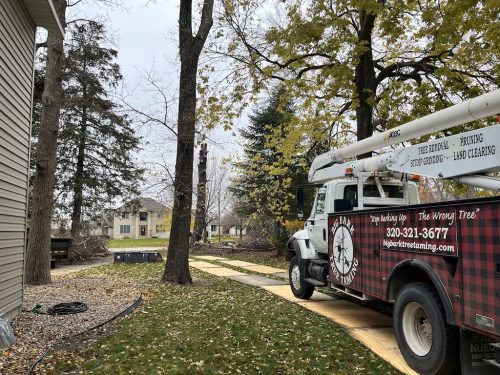 Tree Services Wilmar MN Photo Oct 27 2023, 10 41 02 AM