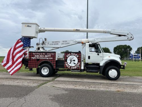 Tree Services Willmar Mn Gallery 2025 10 15 1