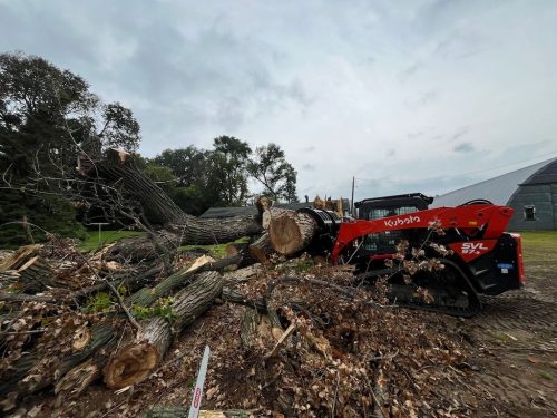 Tree Services Willmar Mn Gallery 2025 10 15 3