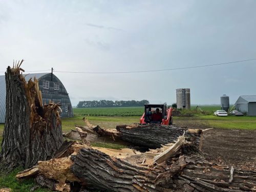 Tree Services Willmar Mn Gallery 2025 10 15 4