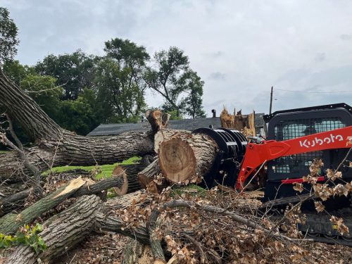 Tree Services Willmar Mn Gallery 2025 10 15 5