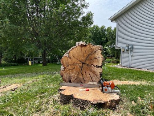 Tree Services Willmar Mn Gallery 2025 10 15 6