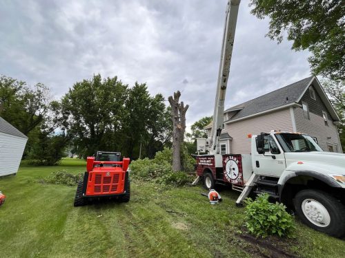 Tree Services Willmar Mn Gallery 2025 10 15 7