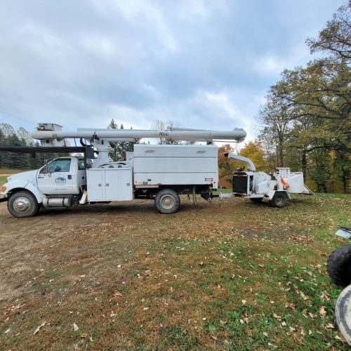 4Tree-Services-Willmar-MN-02-09-26-00