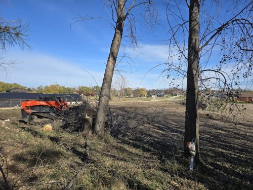 Sioux-Falls-Tree-Services-1