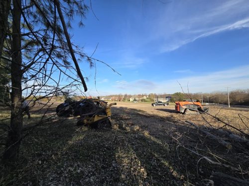 Sioux-Falls-Tree-Services-2