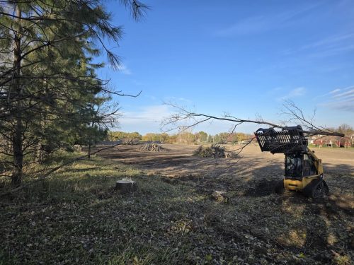 Sioux-Falls-Tree-Services-3