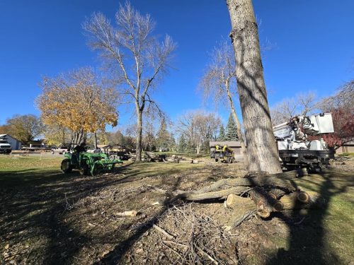 Sioux-Falls-Tree-Services-4