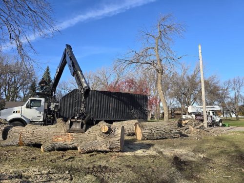 Sioux-Falls-Tree-Services-5