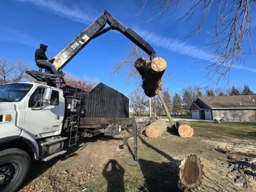 Sioux-Falls-Tree-Services-6
