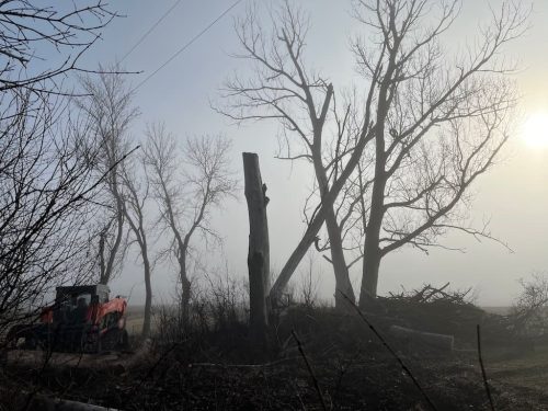 Tree-Removal-Clara-City-MN-1 (1) (1)