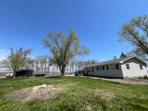 Tree-Removal-Clara-City-MN-3 (1)