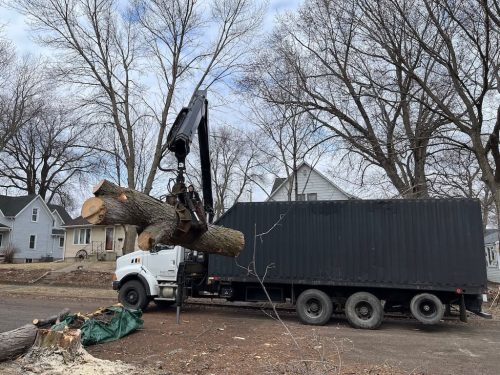 Tree-Removal-Clara-City-MN-3 (1) (1)