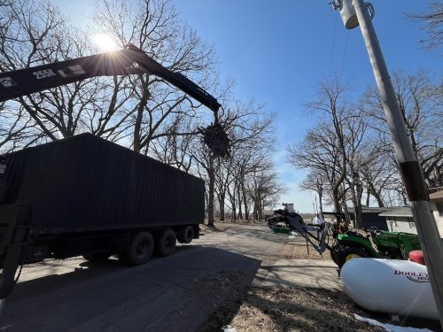 Tree-Removal-Clara-City-MN-5