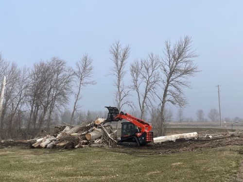 Tree-Removal-Clara-City-MN (1) (1)